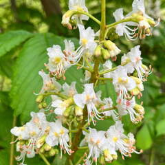 22-04-25 11-40-03 0621